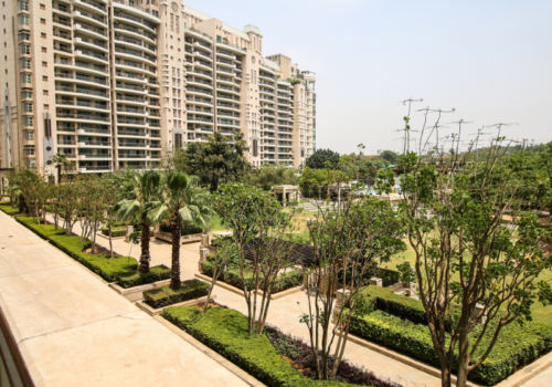 Paras Realtors Dlf Aralias Paras Realtors Dlf Aralias