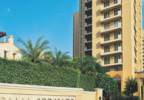 The Palm Springs Cover Image The Palm Springs Cover Image